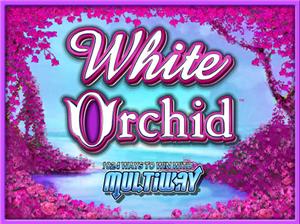 White orchid slot machine free download game
